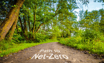 The path to net-zero 