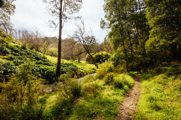 Phantom Falls Walk Cape Otway in Australia