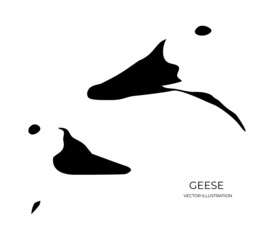 Vector illustration of black silhouettes of goose heads on a white background. © Vladislav