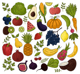 Vector colorful food set for your design. Vector set of vegetables and fruits.