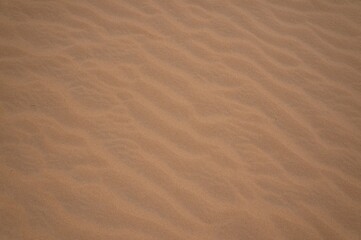 Desert sand background, selective focus