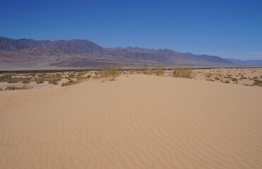 Sand dunes in the desert, selective focus