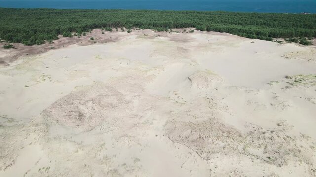 Curonian Spit, Efa dune. A sand dune is bordered by a forest.