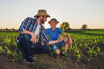 Family farmers are standing in their growing corn field. They are examining crops after successful sowing.