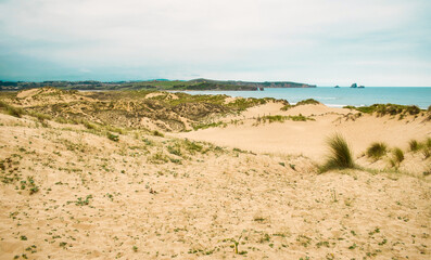 Parque natural de las dunas de Liencres en Cantabria, España