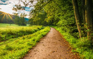 Acrylglasbilder Klimaneutral - Net-Zero 2050 - Weg zur Klimaneutralität  © Stefan_E