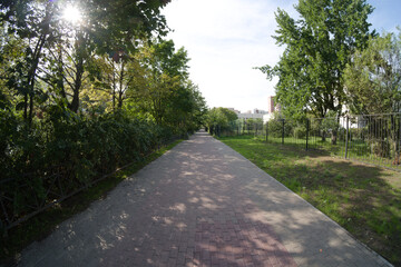 Green road