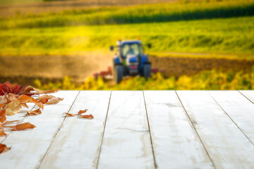 Obraz premium Wooden white table, leaves falling from trees on a beautiful autumn day 