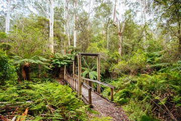 Henderson Falls Cape Otway in Australia