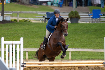 horse and rider jumping at a horse show.