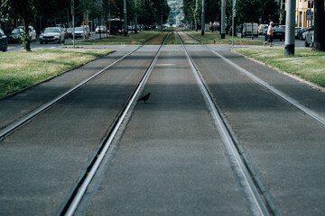 High-angle shot of asphalt rails