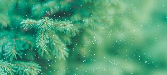 Fototapeta na wymiar Christmas tree background with falling snow