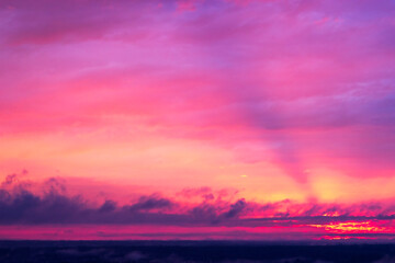 Fototapeta na wymiar purple-pink sunset over the forest