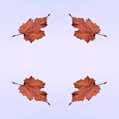 Autumn leaves seamless pattern 