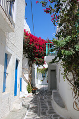 Traditionnal flowered street in Paros Island, Cyclades, Greece