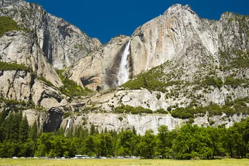 Foto op Plexiglas Yosemite Falls © Fyle