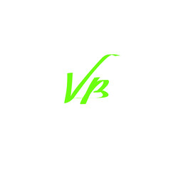 VB handwritten logo for identity