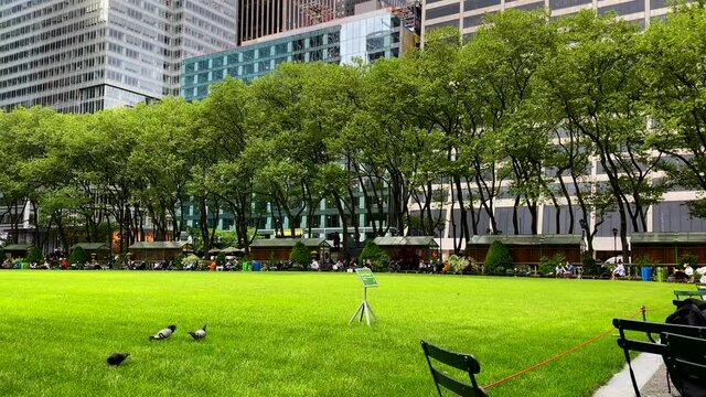 Pan Left View of Bryant Park with an Empty Grass Field Due to Covid-19