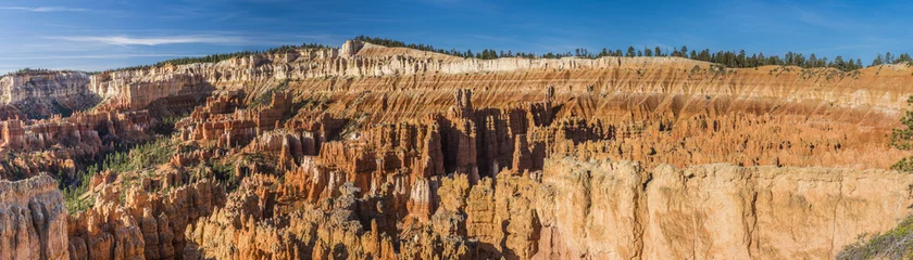 Foto op Plexiglas Bryce Canyon in Utah in the USA © Fyle