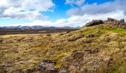 Fototapeta na wymiar Landmannalaugar moss and orange lava desert hills at volcano landscape. Iceland 