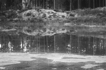 gravel quarries in coniferous pine forest in Latvia. Beautiful reflection of trees and bush in calm clear water, sand island, shallow pond, black and white