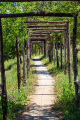 Obraz premium Valley of the Temples; Sicilian: Vaddi di li Tempri) is an archaeological site in Agrigento 