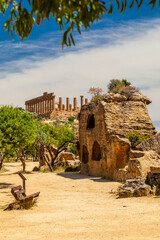 Obraz premium Valley of the Temples; Sicilian: Vaddi di li Tempri) is an archaeological site in Agrigento 