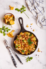 Potatoes roasted with chanterelles mushrooms and onion served with parsley leaves. Vegetarian dish....