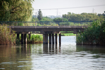 concrete bridge over a small river with green reeds. Road bridge with concrete columns.