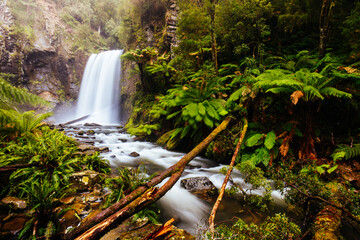Hopetoun Falls Cape Otway in Victoria Australia