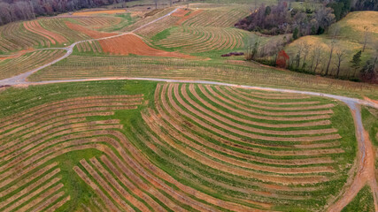 Fototapeta na wymiar Aerial view of apple orchard in hills 