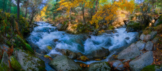 Panoramic view of a  river landscape in autumn forest in guadarrama national park
Guadarrama, Community of Madrid, Spain