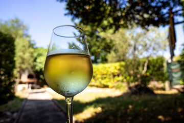 glass of white mediterranean wine in mediterranean garden