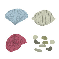 Hand drawn vector illustration of sea shells. Isolated on white background.