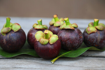 mangosteen , Mangosteen in Southern Thailand