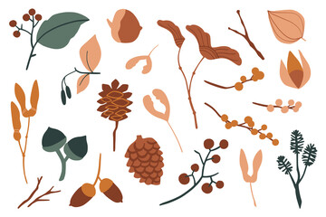 Vector set of flat floral elements. Simple autumn collection