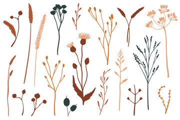 Vector set of flat floral elements. Simple autumn collection