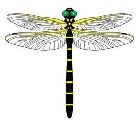 オニヤンマのイラスト　トンボ