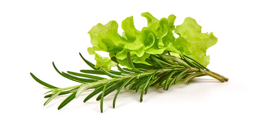 Rosemary with rosemary leaf, close-up, isolated on white background.