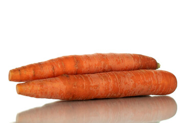 Two unpeeled organic carrots, close-up, isolated on white.