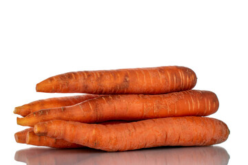 Several unpeeled organic carrots, close-up, isolated on white.
