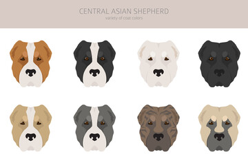 Central asian shepherd clipart. Different poses, coat colors set