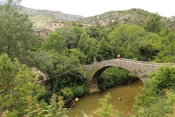 Fototapeta na wymiar pont roman de Navacelles, Hérault