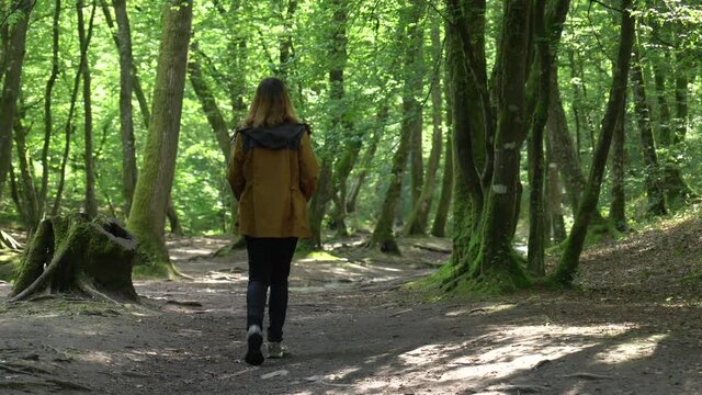 A young woman on the trail in the Broceliande forest, French mystical forest located in the Ille-et-Vilaine department, Brittany, near Rennes. France