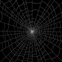Spider Nest