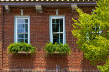 Fototapeta na wymiar Window boxes with lush green plants attracts the eye
