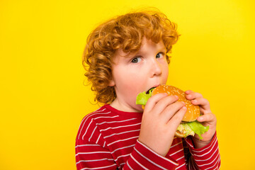 Photo of young hungry ginger wave hair boy hold hands hamburger eat fast food isolated on yellow...