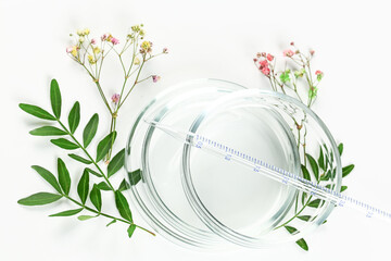 mockup for organic cosmetics or alternative medicine. Petri dishes with green leaves and pipette