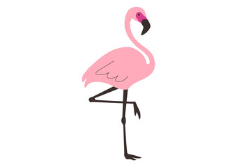 ピンクフラミンゴのベクターイラスト
