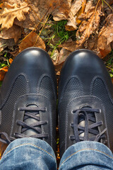 Comfortable leather navy blue shoes for men on grass with autumnal leaves. Male footwear